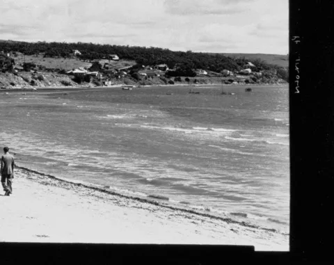 Misty beach with a person standing in the foreground